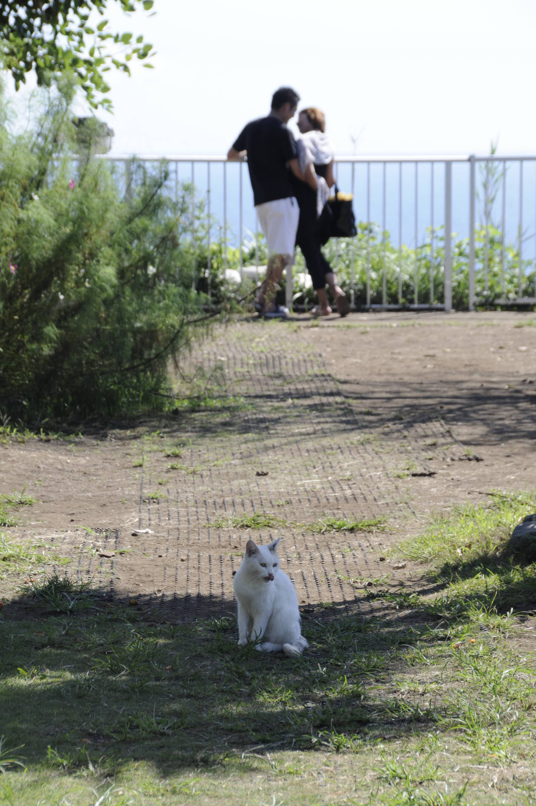 台湾発のザ ラブラブappが本日リリース カップルのための写真共有アプリ Isuta イスタ 私の 好き にウソをつかない