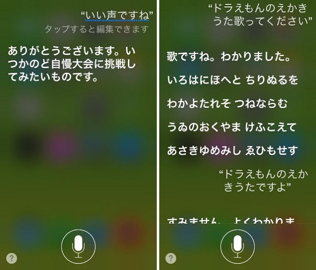 Siriの声を選んだらiphoneとの パートナー感 が増しちゃった Isuta イスタ 私の 好き にウソをつかない