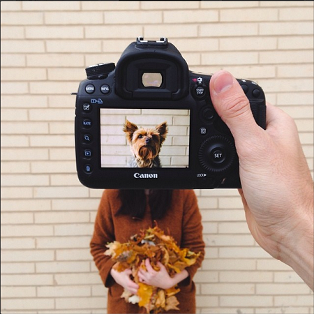 飼い主の顔がペットに Instagramで見つけたアナログ合成写真がおもしろい Isuta イスタ 私の 好き にウソをつかない