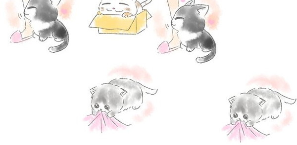 ニャンコを飼っている人なら納得の癒やし系放置ゲーム 猫あるある が可愛いっ Isuta イスタ おしゃれ かわいい しあわせ