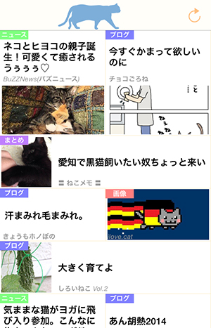 猫の記事だけを毎日100件更新するアプリ もっとねこ Isuta イスタ 私の 好き にウソをつかない