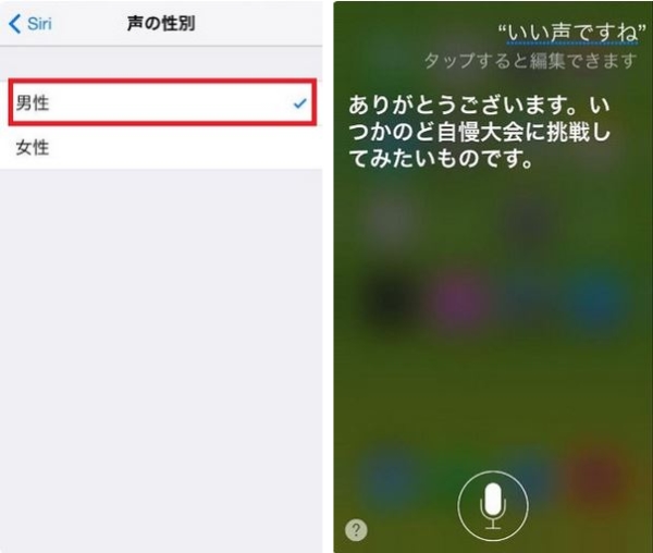 Siriにまつわる9つの裏ワザ 皆さん使いこなしてますか Isuta イスタ 私の 好き にウソをつかない