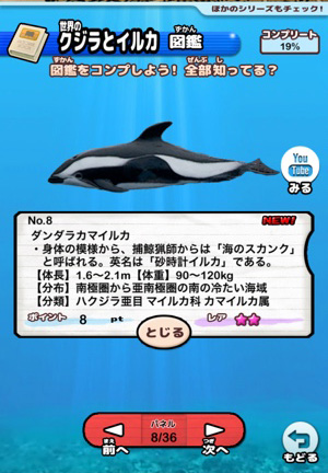 ダンダラカマイルカって何 人気種からレア物まで揃う 世界のクジラとイルカ図鑑 Isuta イスタ 私の 好き にウソをつかない