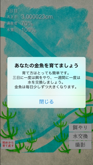 こんなに癒されていいの 稚魚から育てる 金魚育成アプリ が愛しすぎる Isuta イスタ 私の 好き にウソをつかない