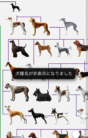画面ぎっしりに犬 わかりやすい系統図でみる犬の家系図アプリ 犬図鑑 が楽しい Isuta イスタ 私の 好き にウソをつかない