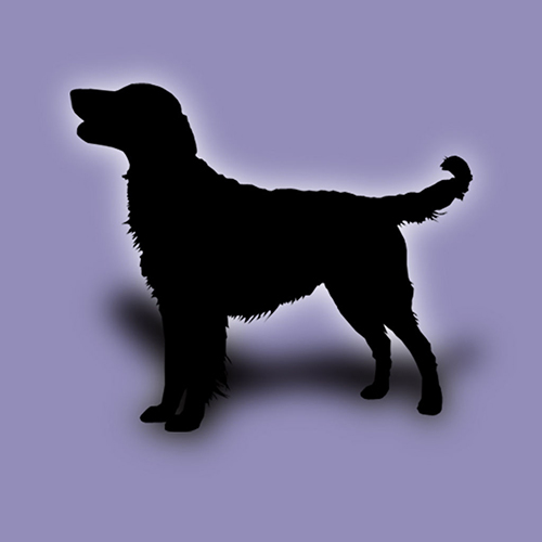 画面ぎっしりに犬 わかりやすい系統図でみる犬の家系図アプリ 犬図鑑 が楽しい Isuta イスタ 私の 好き にウソをつかない