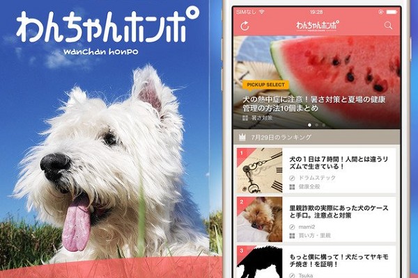 愛犬家のためのアプリ わんちゃんホンポ で犬の気持ちを知ろう Isuta イスタ おしゃれ かわいい しあわせ