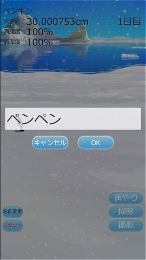 手軽に育てられる 癒しのペンギン育成ゲーム が可愛すぎる Isuta イスタ 私の 好き にウソをつかない