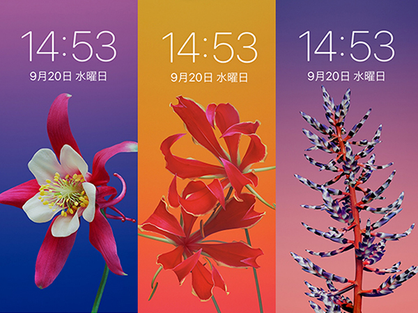 Ios 11の壁紙ラインナップは 特徴的な花の壁紙が仲間入りしてるぞ