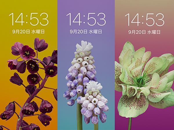 Ios 11の壁紙ラインナップは 特徴的な花の壁紙が仲間入りしてるぞ
