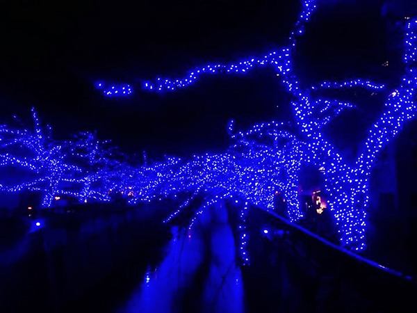 冬の東京名物 青の洞窟 はiphoneで撮るのが難しい 綺麗に撮る方法 加工する方法を教えます Isuta イスタ おしゃれ かわいい しあわせ
