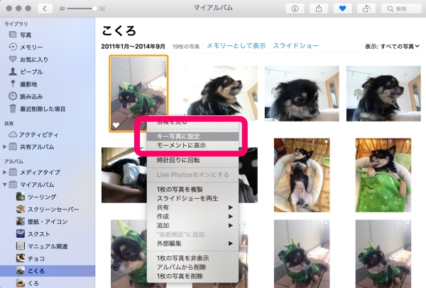 Iphoneやipadの 写真 アプリで アルバムの表紙に好きな写真を設定する方法 Isuta イスタ 私の 好き にウソをつかない