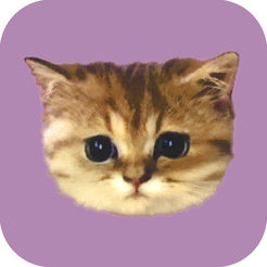 猫リップがキュートなpaul Joe Beauteから公式アプリが登場 アプリ限定の猫フォトフレームが可愛い Isuta イスタ 私の 好き にウソをつかない