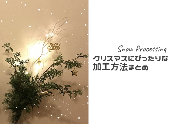 写真の雰囲気から クリスマス気分 に 3つのアプリを使ったクリスマスにぴったりな加工方法まとめ Isuta イスタ 私の 好き にウソをつかない