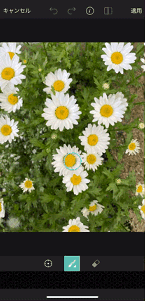 アプリ「PicsArt」でコピーしたお花をペースト