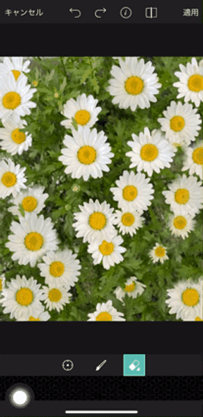 アプリ「PicsArt」のクローン機能で、少ないお花の量を増量