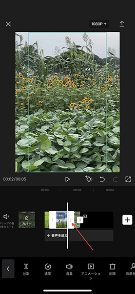追加した動画の両サイドに表示されるバーを使って、映像の長さをそれぞれ調整