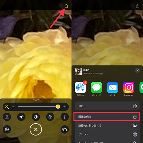拡大した画像を下部中央のボタンで静止画にし、右上のアイコンよりカメラロールに画像保存することもできます