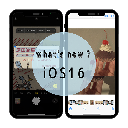 【iOS 16】でiPhoneの写真アプリがもっと便利に！「被写体切り抜き機能」など、便利すぎる7ポイント