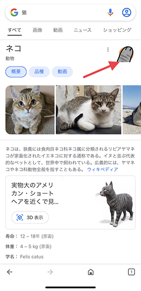 ウェブブラウザアプリ「Google」で、『猫』をキーワード検索した画面