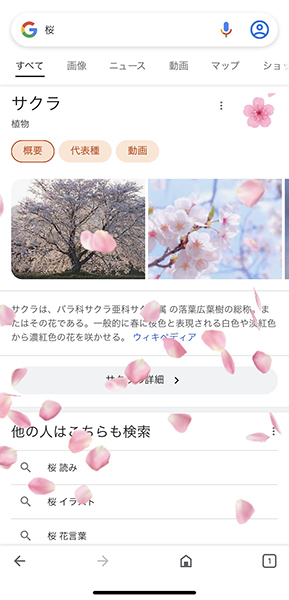 ウェブブラウザアプリ「Google」で、『桜』の隠しコマンドを作動させた画面