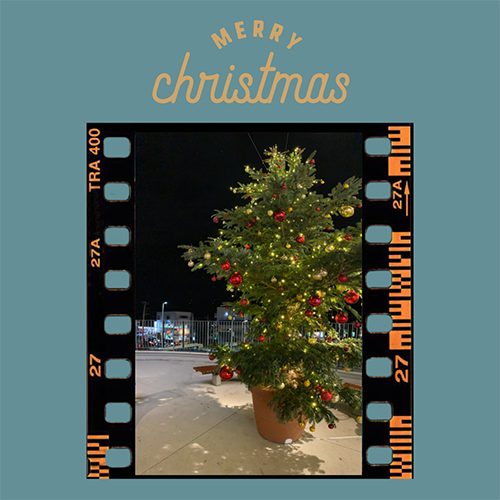 クリスマスツリーを、iPhoneの「パノラマ」モードで撮影した写真