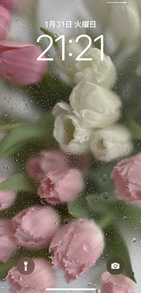 「鮮花壁紙」を設定したiPhoneロック画面