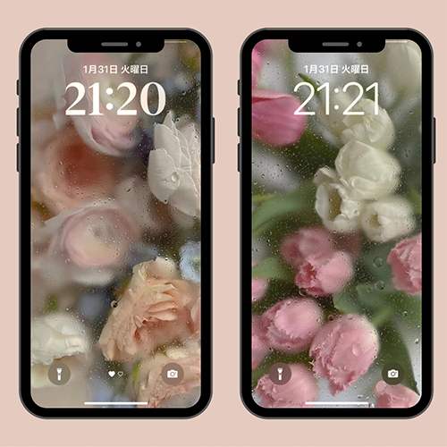 「鮮花壁紙」を設定したiPhoneロック画面