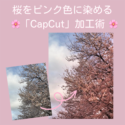 桜って意外と白っぽく映りがちじゃない？お花見動画に「CapCut」でピンク色をチョイ足しできる加工方法
