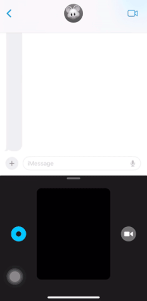 iPhone「メッセージ」アプリでDigital Touchエフェクト『タップ』を送信する様子