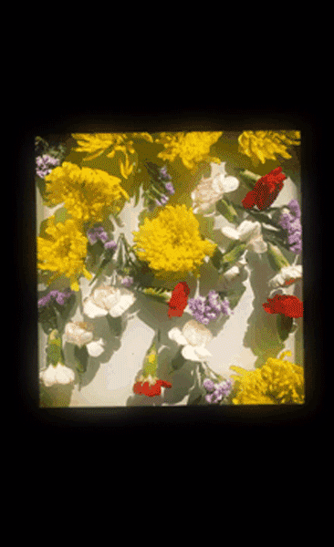 カメラアプリ「黄油相机」の『Glow』で加工した画像