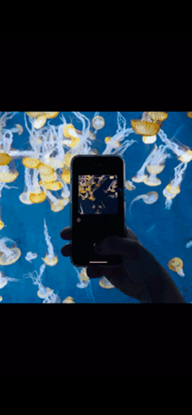 カメラアプリ「黄油相机」で撮影した画像を繋げた動画