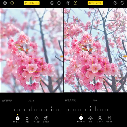 iPhone「写真」アプリの編集操作画面
