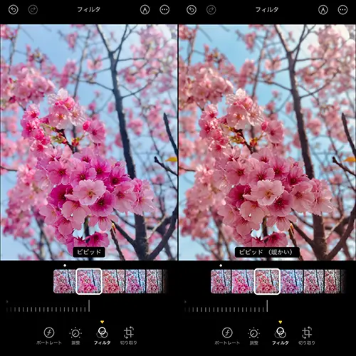 iPhone「写真」アプリの編集操作画面