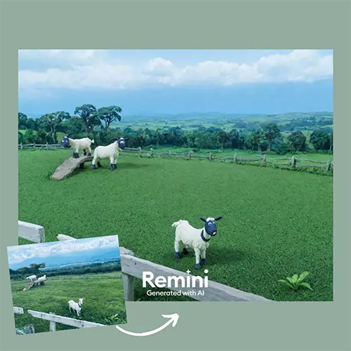 AI写真アプリ「Remini（レミニ）」の『粘土加工』を施した画像