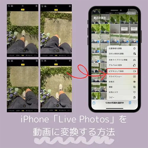 iphone カメラ live 動画