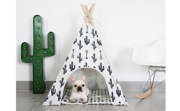 わんこもグランピング ミニマルなデザインの犬用テントがオシャレ Isuta イスタ おしゃれ かわいい しあわせ