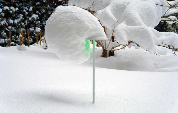 Toshihiro Shibuya/Snow Pallet 9