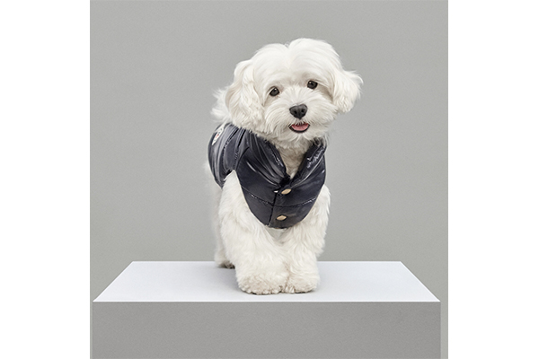 Moncler モンクレール 犬 ペット ダウンベスト 00サイズ | nate 