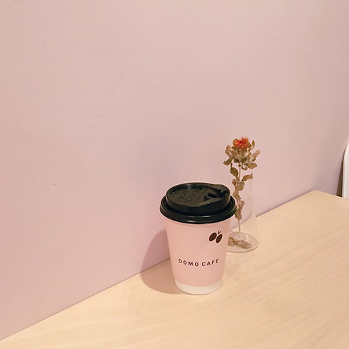 すべての美しい花の画像 最新のhd壁紙 韓国 おしゃれ カフェ