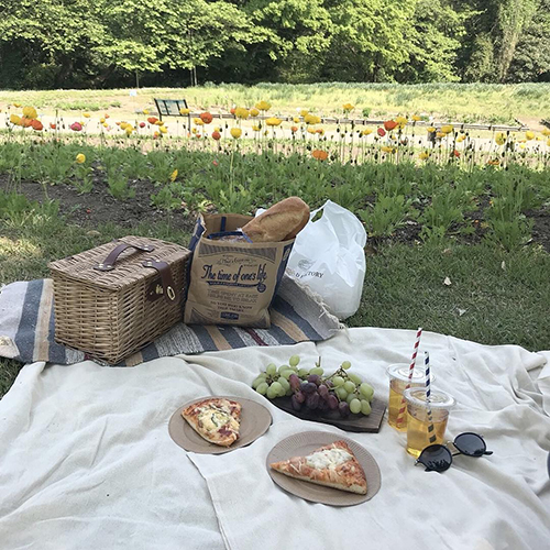 天気が良い日はピクニックしよう 最新おしゃピクに必要な5つのアイテム Isuta イスタ おしゃれ かわいい しあわせ