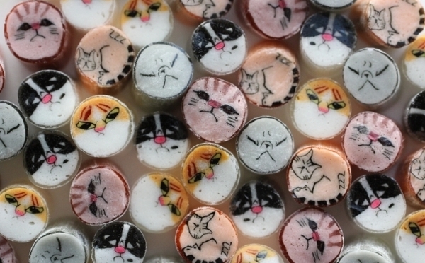 にゃんこ好きマストチェック キュート ぶさかわ猫キャンディが大集合するパパブブレの 猫祭り が開催 Isuta イスタ おしゃれ かわいい しあわせ