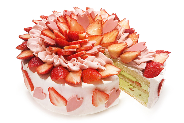一足早く春を感じて♡カフェコムサに“桜”をイメージした限定ショートケーキが2月22日の1日限定でお目見え