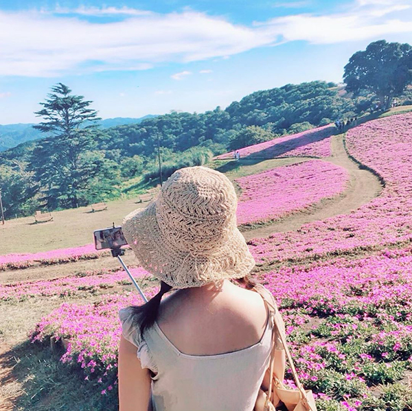 【まだ間に合う】いま訪れたい日本全国のお花畑をピックアップ。花畑×富士山の絶景スポットも