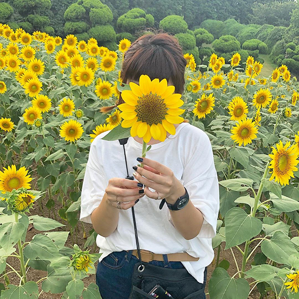 まだ間に合う いま訪れたい日本全国のお花畑をピックアップ 花畑 富士山の絶景スポットも ガジェット通信 Getnews