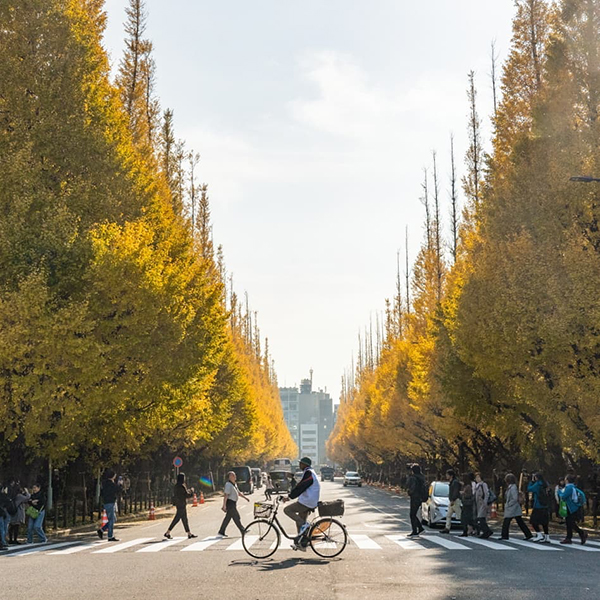 秋はあっという間に終わるから 東京から行ける紅葉スポット5選をおさえておいて Isuta イスタ おしゃれ かわいい しあわせ