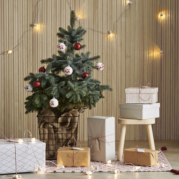 今年もikeaに本物の もみの木 がやってくる 本格クリスマスシーズンが11月21日からスタート Isuta イスタ 私の 好き にウソをつかない