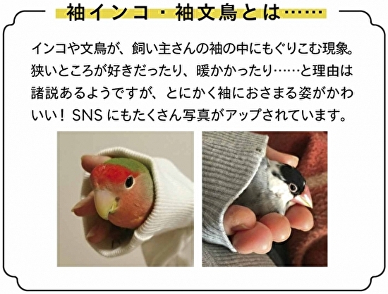 袖口から顔をだすインコ＆文鳥のかわいさにキュン♡フェリシモの新作ポーチは小鳥好きマストチェック！