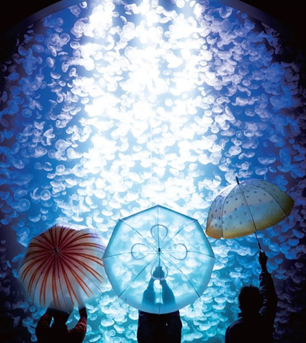 “クラゲ”の傘がかわいすぎる…♡フェリシモ×加茂水族館の「雨空を泳ぐクラゲの傘」に注目が集まっています