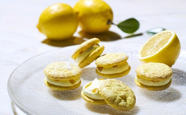 初夏のおうち時間に甘酸っぱいお菓子はいかが♡「アンテノール」オンラインショップで“レモンフェス”が開催中♩